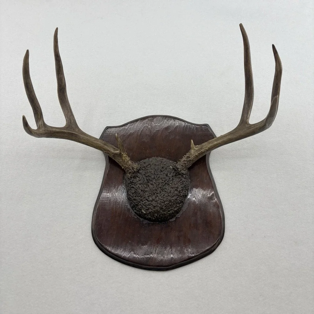 Brown Deer Antler Wall Mount Plaque - Rustic Home Wall Decor